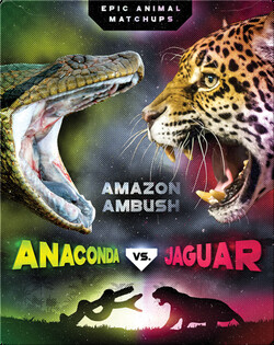 Anaconda vs. Jaguar