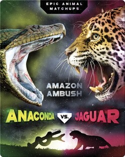 Anaconda vs. Jaguar
