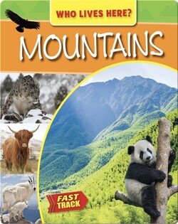 Mountains