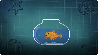I’m A Goldfish