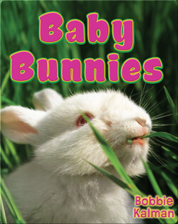 Baby Bunnies