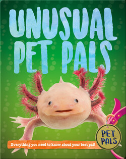 Unusual Pet Pals