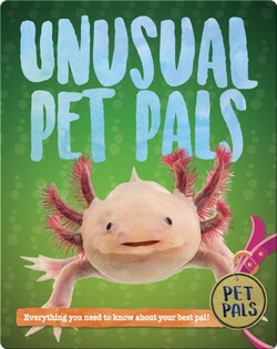 Unusual Pet Pals