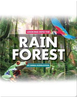 Looking at Layers: Looking Into the Rain Forest