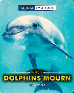 Animal Emotions: When Dolphins Mourn