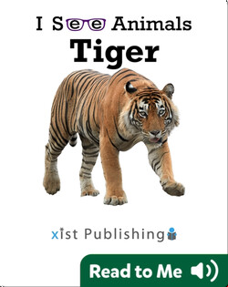 I See Animals: Tiger