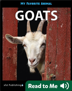 My Favorite Animal: Goats