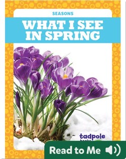 Seasons: What I See in Spring