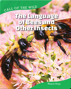 The Language of Bees and Other Insects