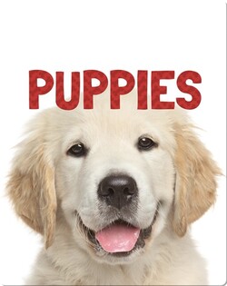 Animal Lovers: Puppies