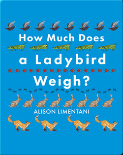 How Much Does a Ladybird Weigh?