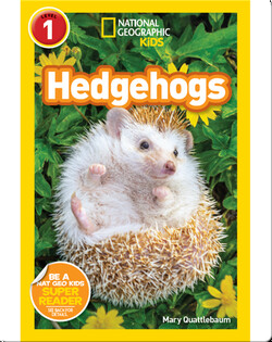 National Geographic Readers: Hedgehogs