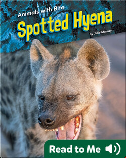 Animals with Bite: Spotted Hyena