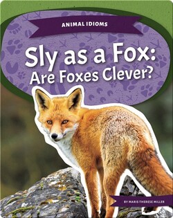 Sly as a Fox: Are Foxes Clever?