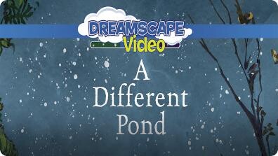 A Different Pond