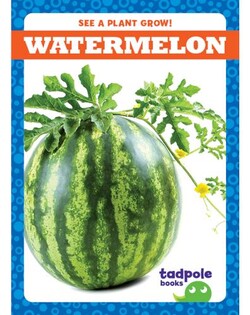 See a Plant Grow!: Watermelon