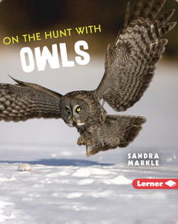 Ultimate Predators: On the Hunt with Owls