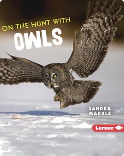 Ultimate Predators: On the Hunt with Owls