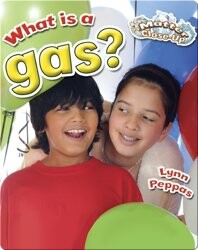What is a Gas?