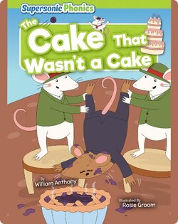 The Cake That Wasn't a Cake