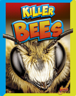 Killer Bees