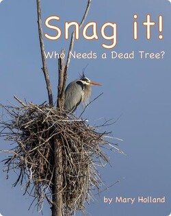 Snag It: Who Needs a Dead Tree?