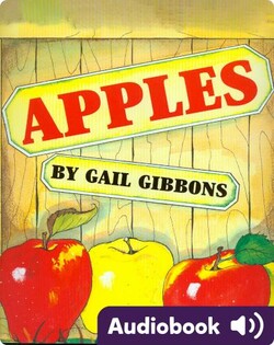 Apples
