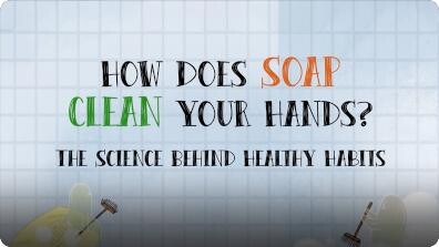 How Does Soap Clean Your Hands