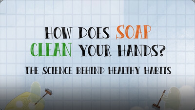 How Does Soap Clean Your Hands
