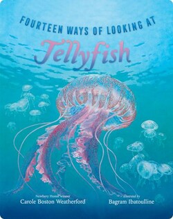 Fourteen Ways of Looking at Jellyfish