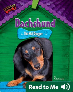 Dachshund: The Hot Dogger