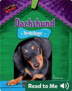 Dachshund: The Hot Dogger