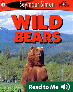 Wild Bears