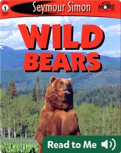 Wild Bears