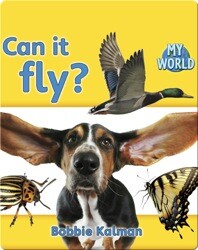 Can It Fly?