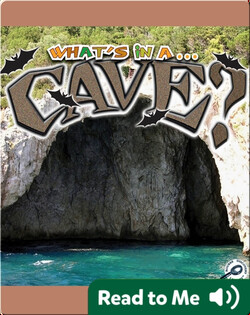 What's In A... Cave?