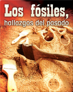 Los fósiles, hallazgos del pasado