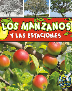 Los manzanos y las estaciones (Apple Trees and The Seasons)
