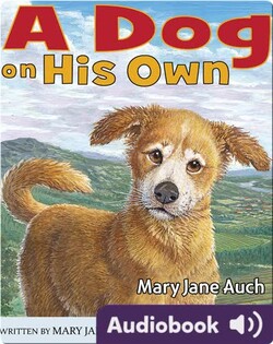 A Dog on His Own
