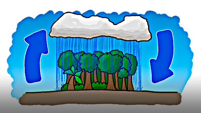 Which Came First - The Rain or the Rainforest?