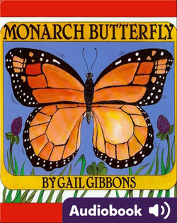 Monarch Butterfly