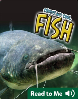 Creepy But Cool Fish