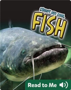 Creepy But Cool Fish