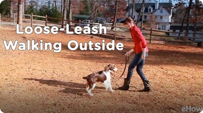 Loose-Leash Walking Outside | Teacher's Pet With Victoria Stilwell