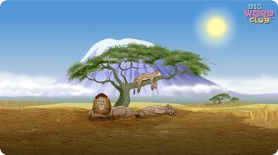Circle of Life Song