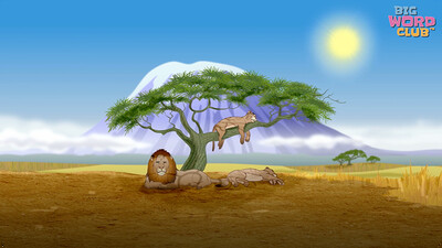 Circle of Life Song