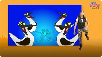 Blue Footed Booby Dance