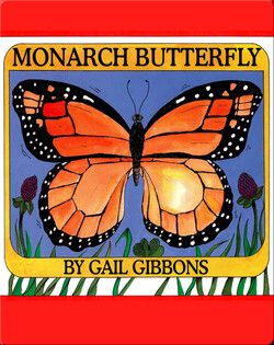 Monarch Butterfly