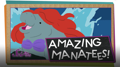 SciShow Kids: What’s a Manatee?