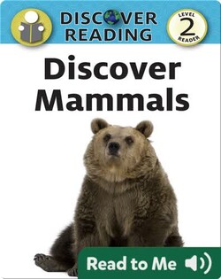 Discover Mammals